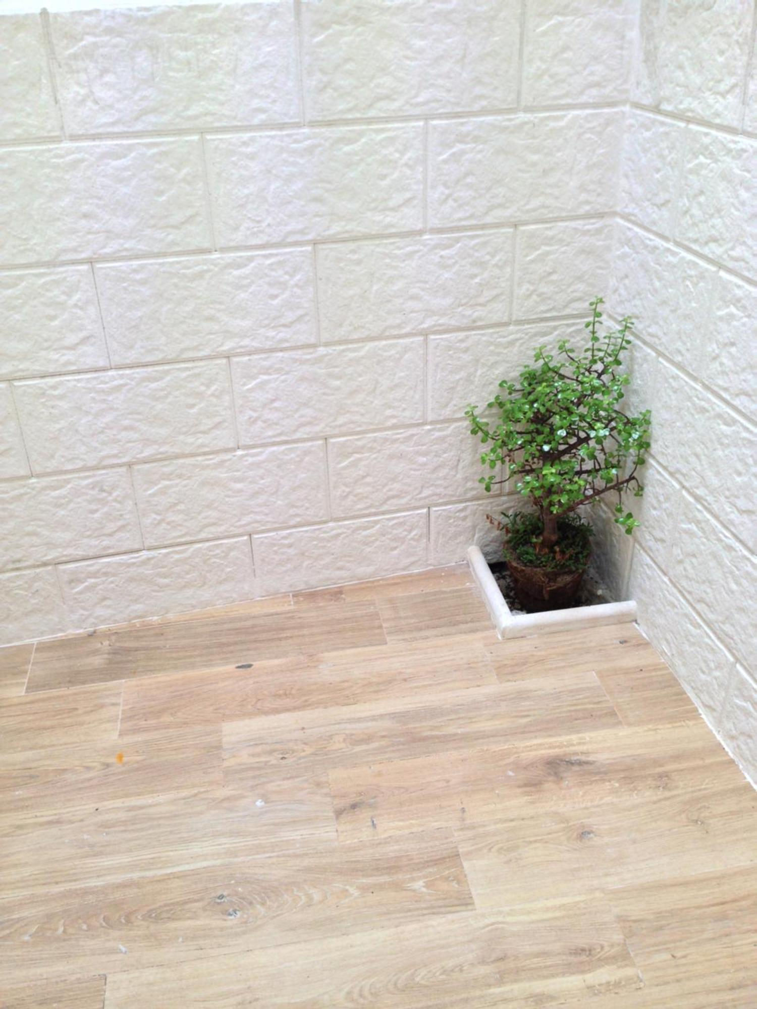 Casa Petra - Mini Open Space Leilighet Brindisi Eksteriør bilde