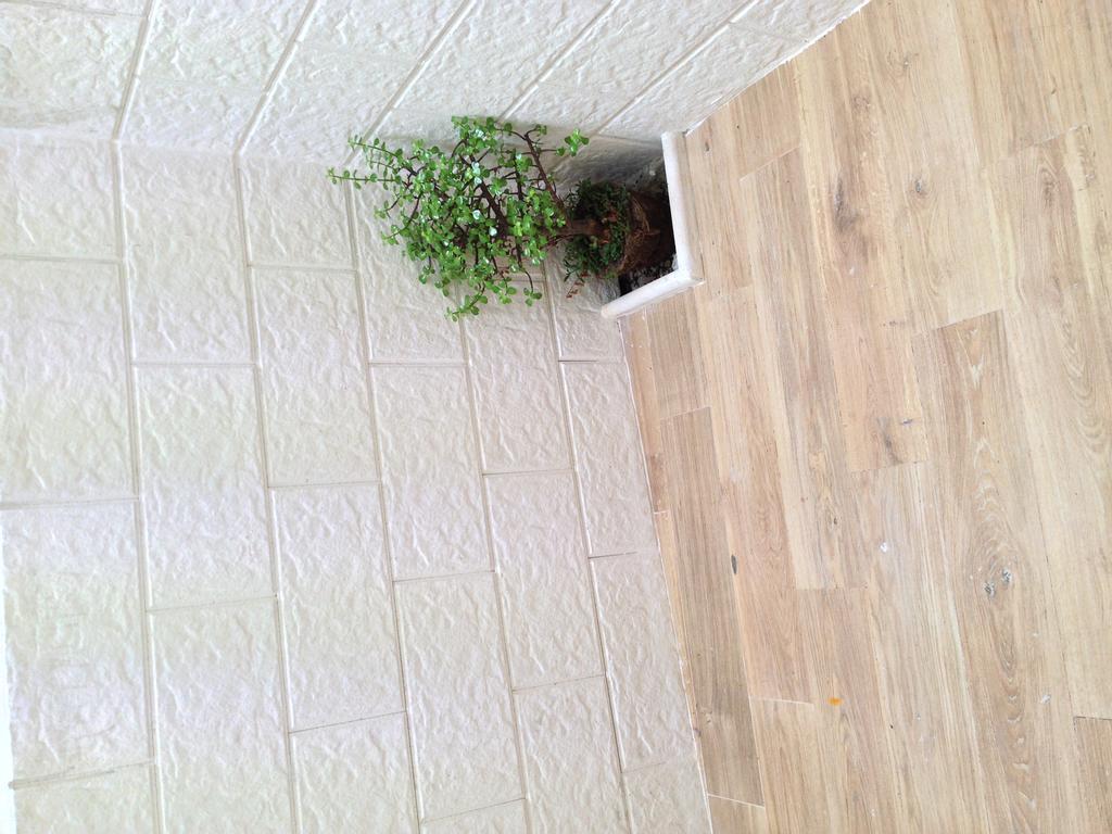 Casa Petra - Mini Open Space Leilighet Brindisi Eksteriør bilde